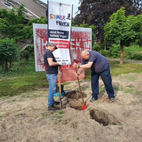 Bild
